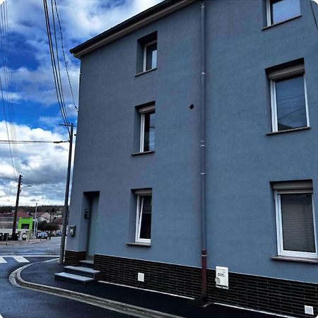 Superbe Appartement Au Rdc Avec Cheminee Villerupt エクステリア 写真