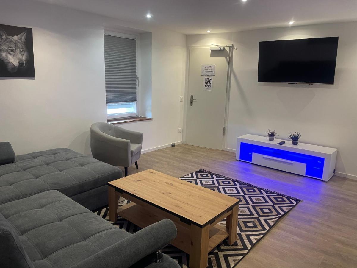 Superbe Appartement Au Rdc Avec Cheminee Villerupt エクステリア 写真